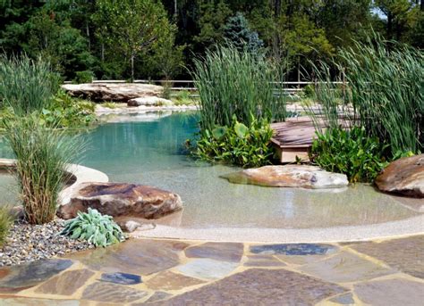 Natural pool design. Things To Know About Natural pool design. 